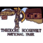 THEODORE ROOSEVELT PIN NATIONAL PARK PIN